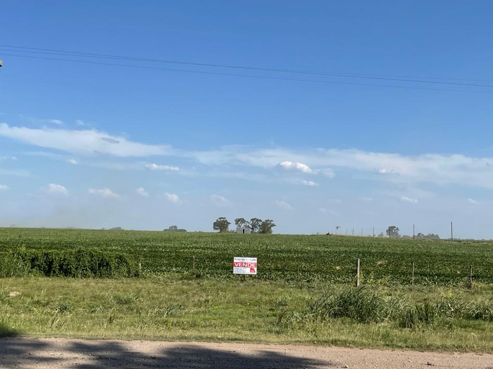 Predio de 7380 M2 sobre Ruta E-79 a Río Tercero