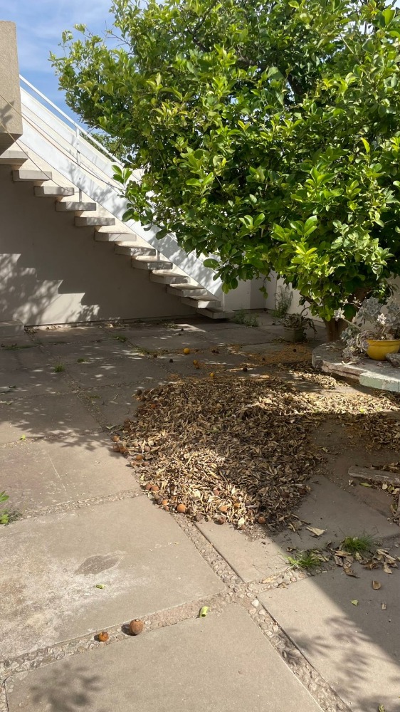 CASA EN VENTA. SAN MARTIN 338