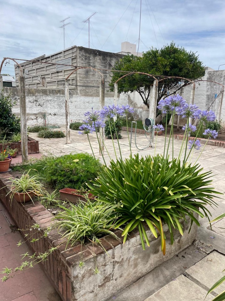 Casa Belgrano 446 Oncativo