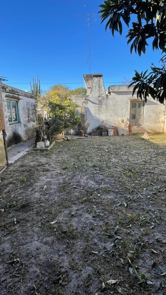 Calle Pellegrini 336