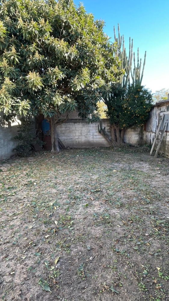 Calle Pellegrini 336