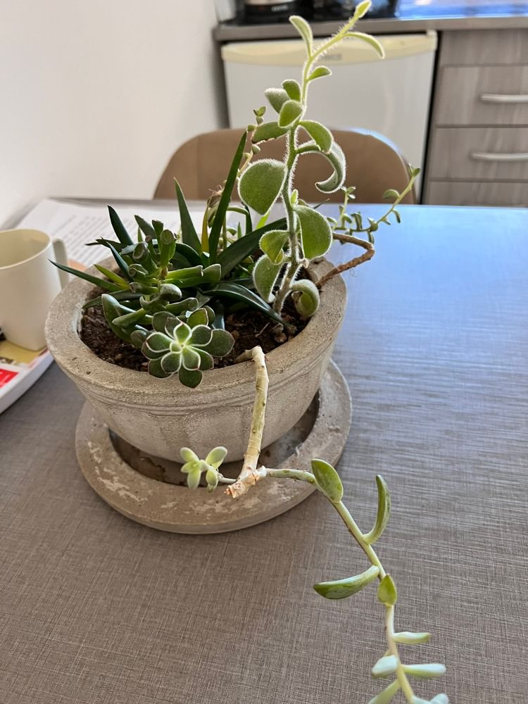 Foto 17