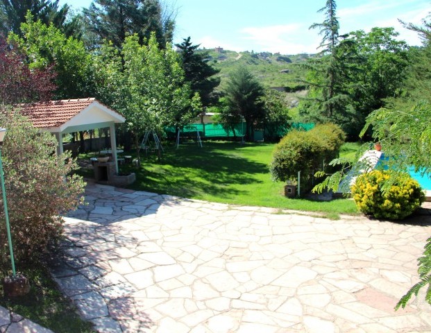 Foto 8