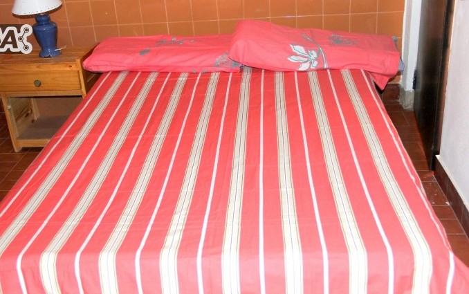 Foto 31