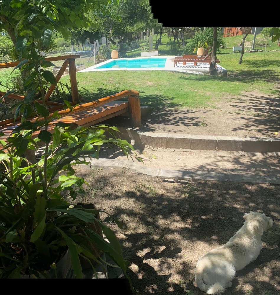 Foto 10