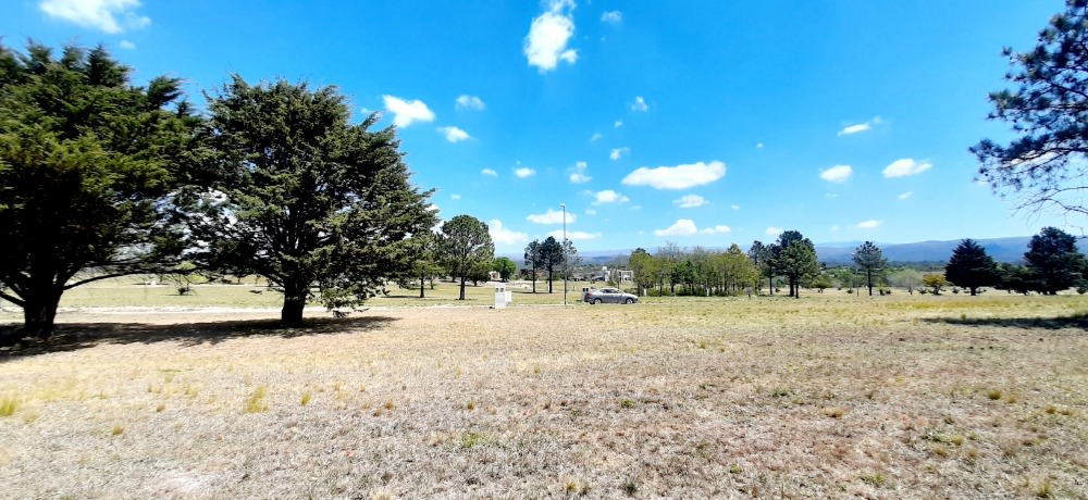 Foto 41