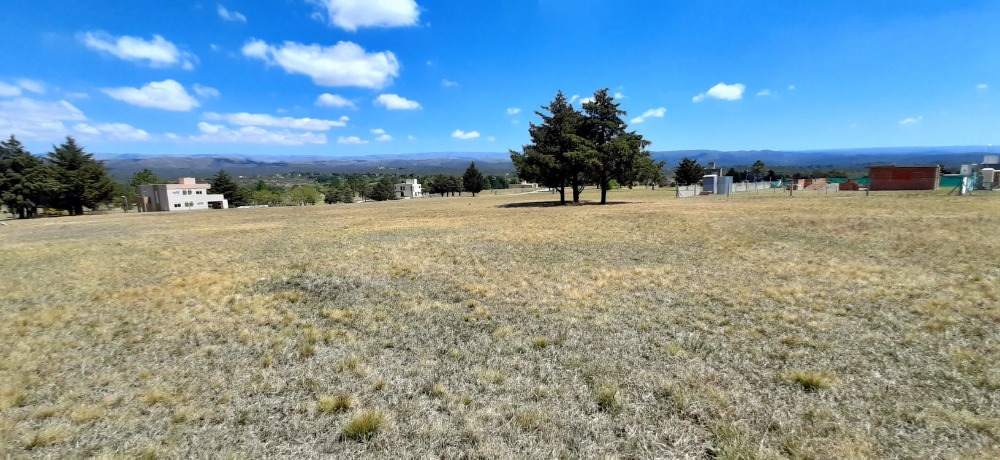 Foto 50