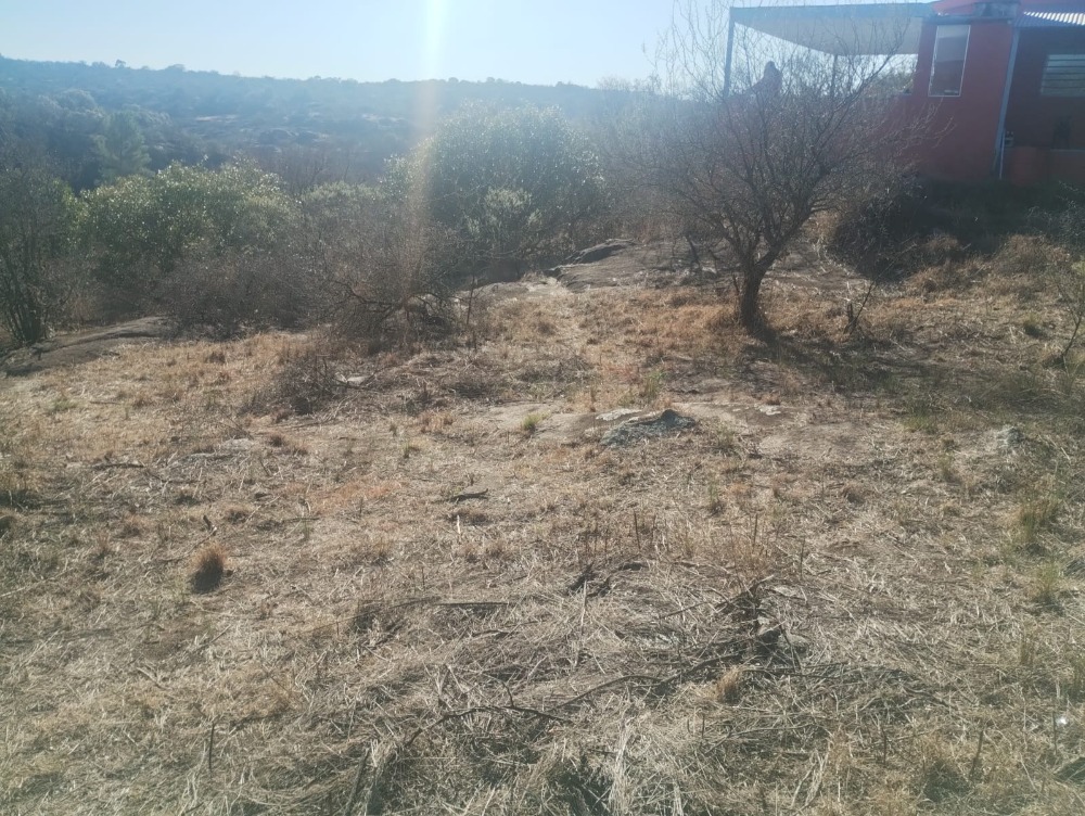 Foto 15