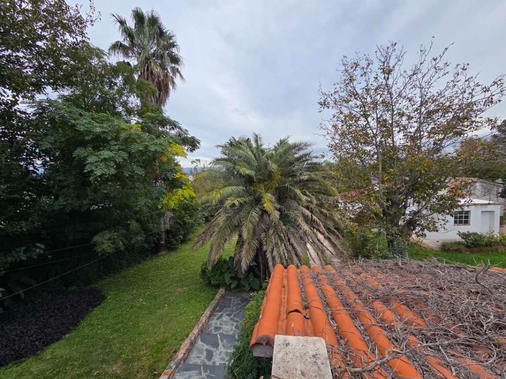 Foto 40