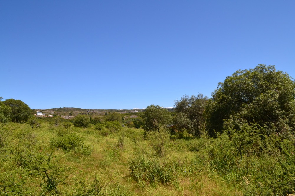 Lote terreno en Tanti. Camino a Flor Serrana