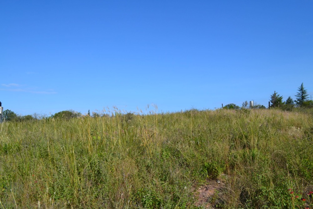 Lotes Terreno en Villa García. Tanti.