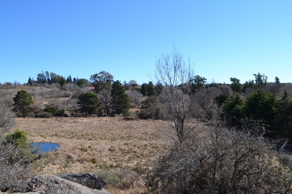 Campo en Tanti. 