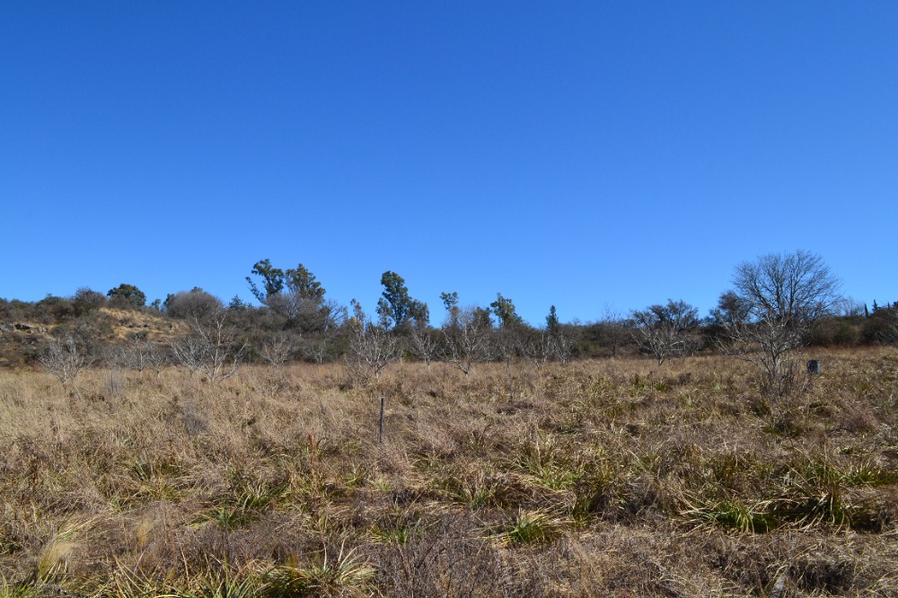 Campo en Tanti. 