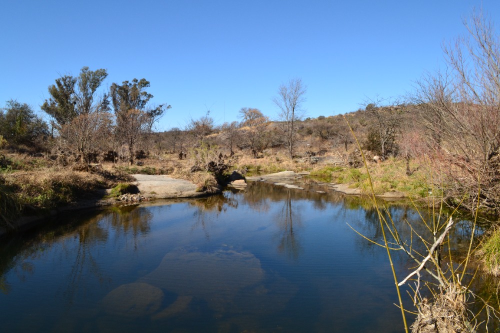 Campo en Tanti. 