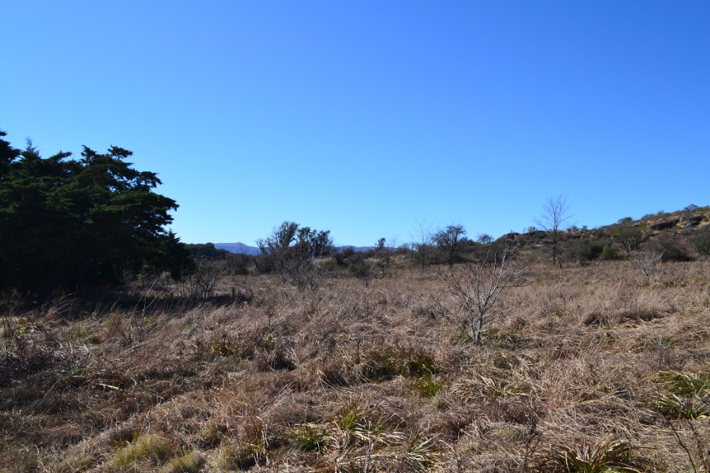 Campo en Tanti. 