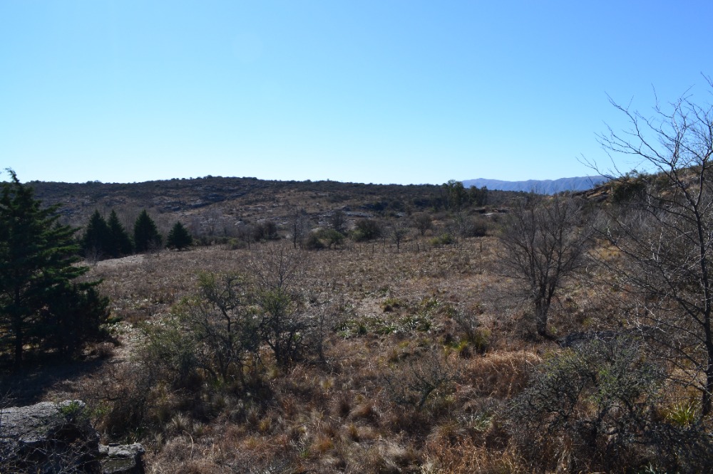 Campo en Tanti. 