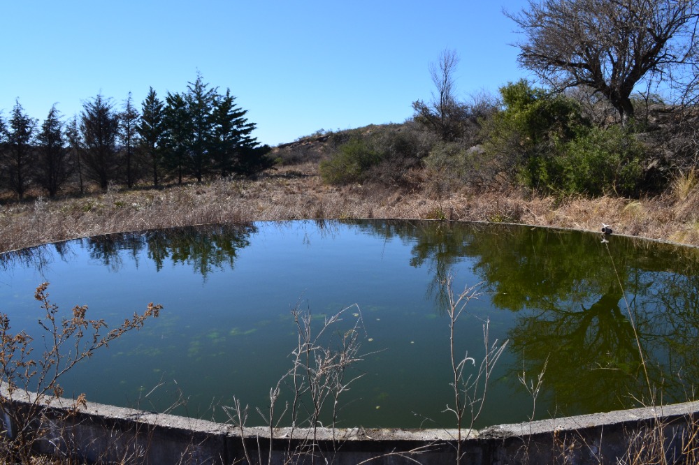 Campo en Tanti. 