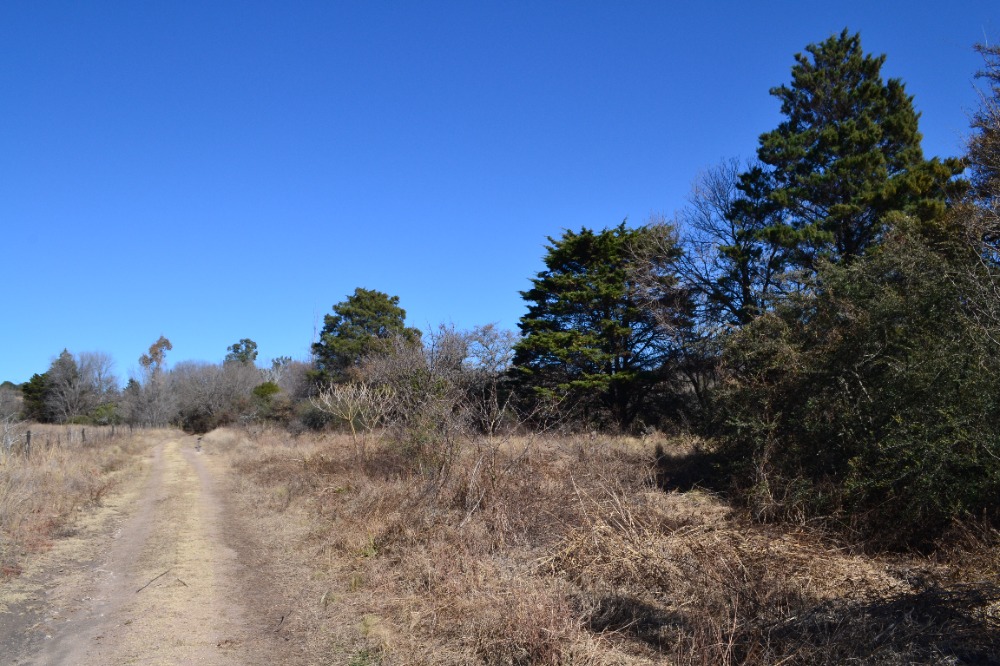 Campo en Tanti. 