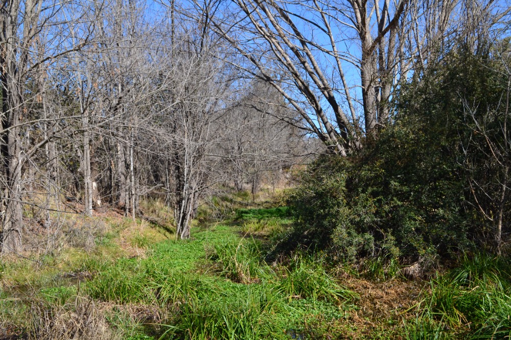 Campo en Tanti. 