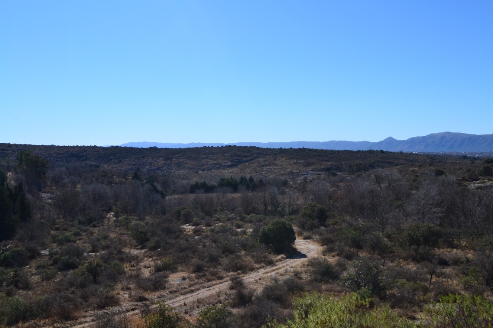 Campo en Tanti. 