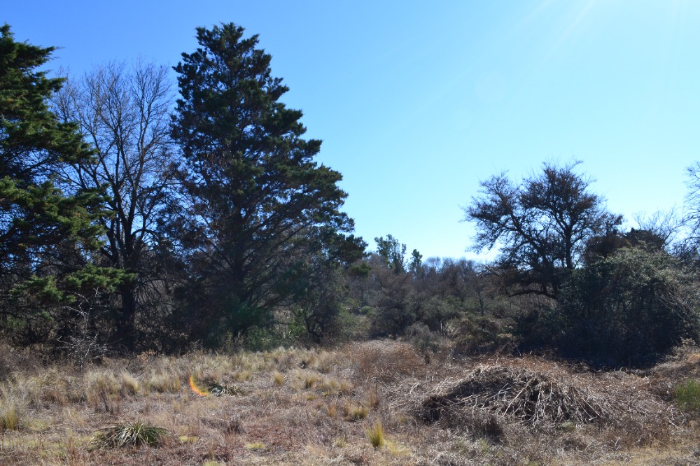 Campo en Tanti. 