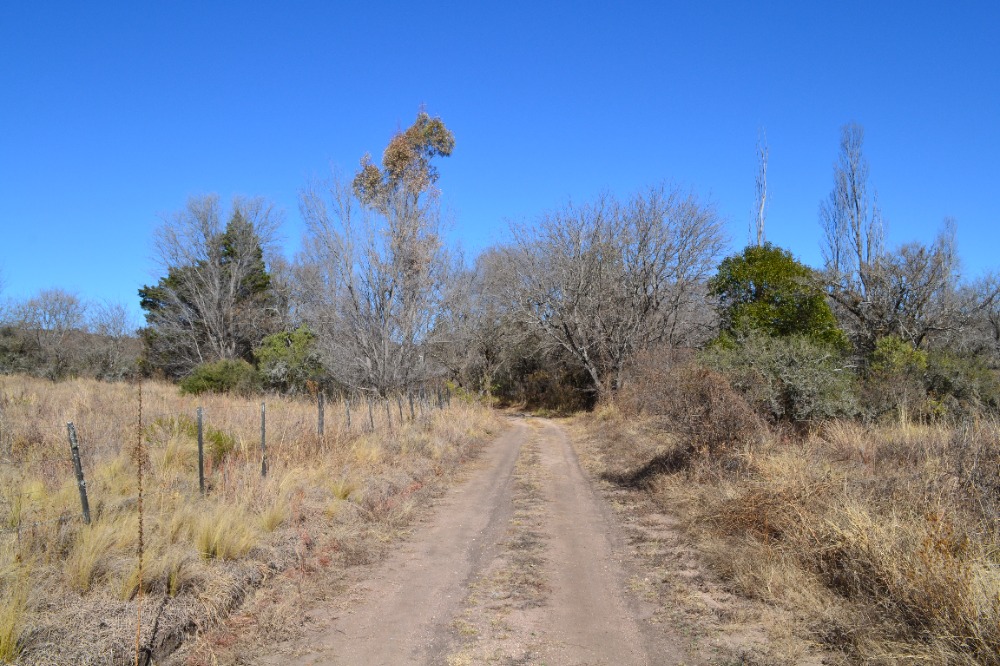 Campo en Tanti. 