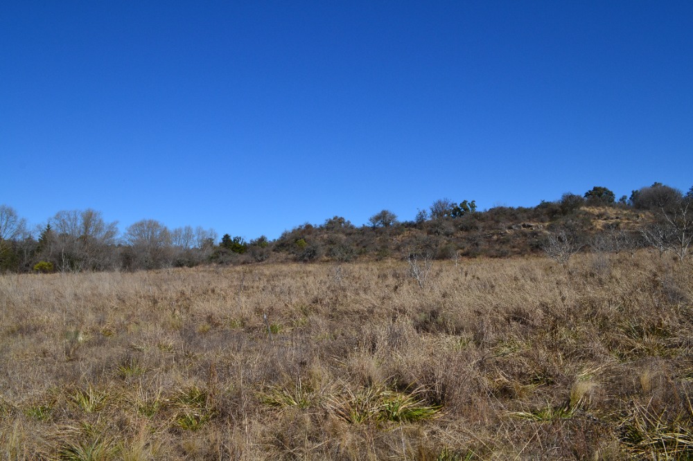 Campo en Tanti. 