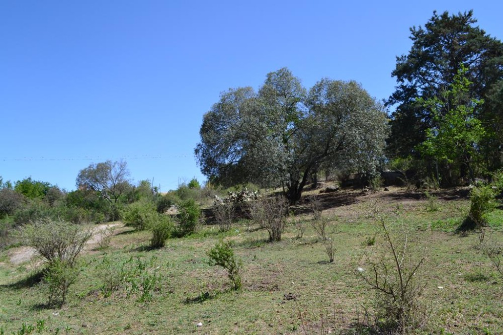 Terreno en Tanti