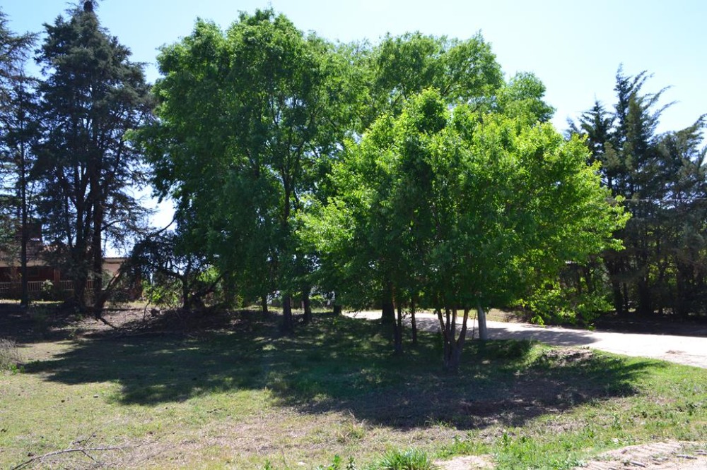 Terreno en Tanti