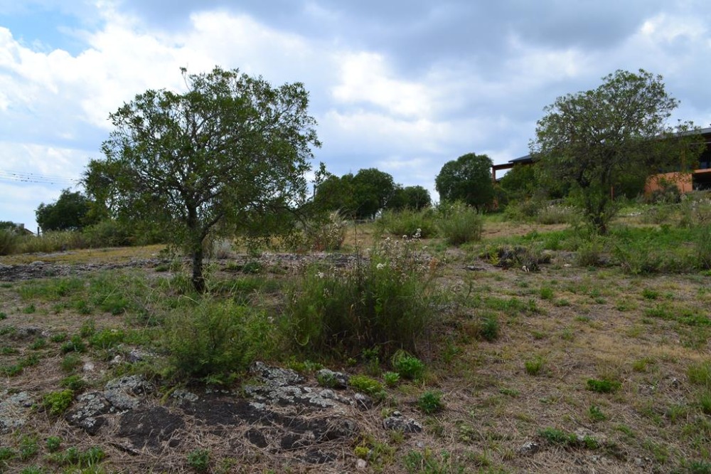 Terreno en Tanti
