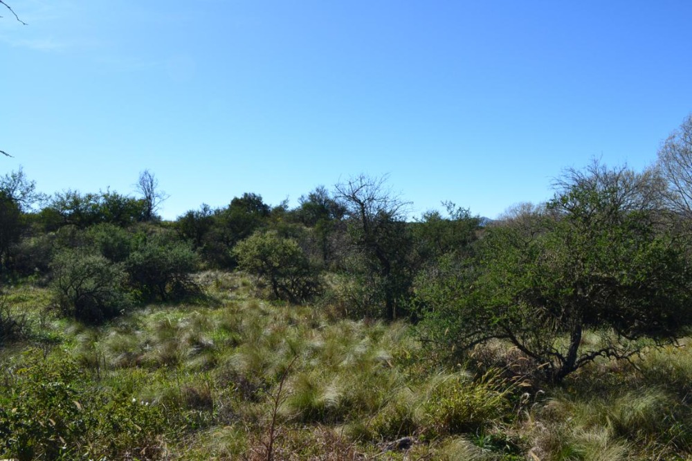 Terreno en Tanti