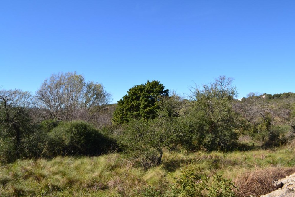 Terreno en Tanti