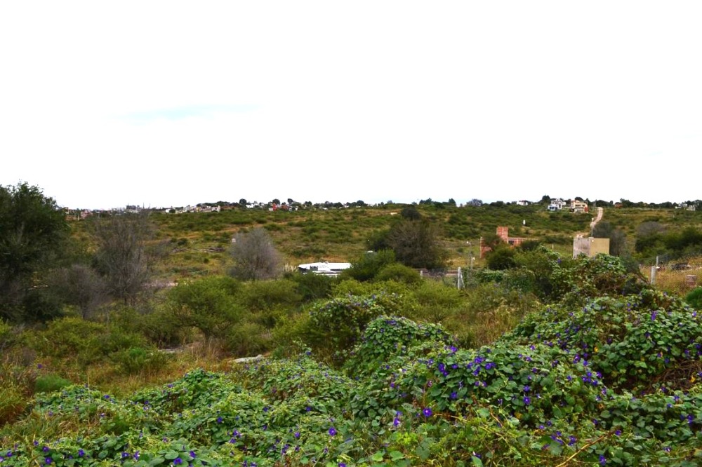 Terreno Villa Santa Cruz del Lago