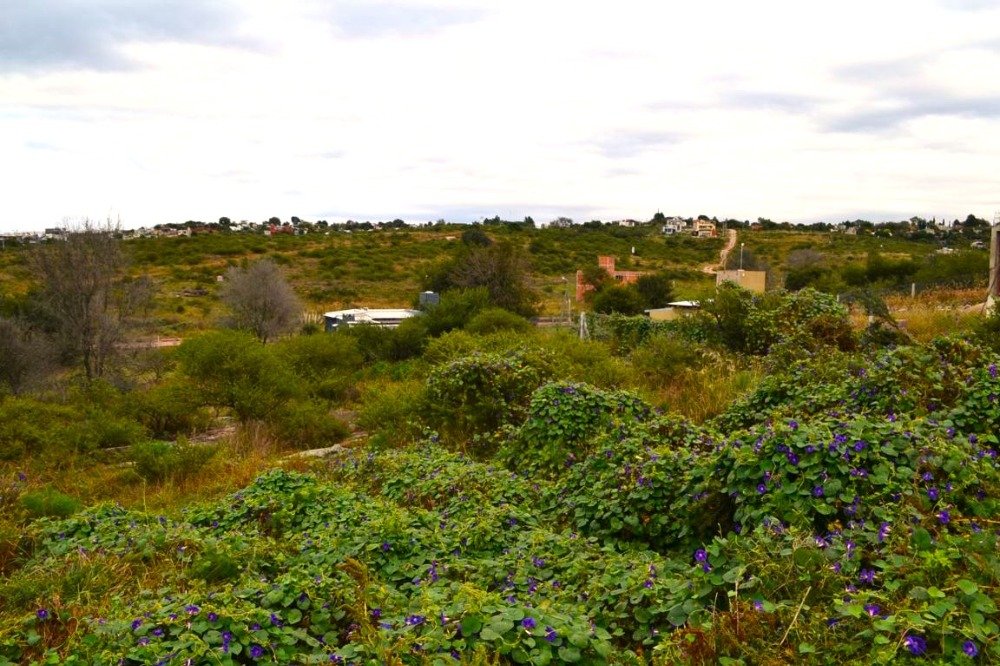 Terreno Villa Santa Cruz del Lago
