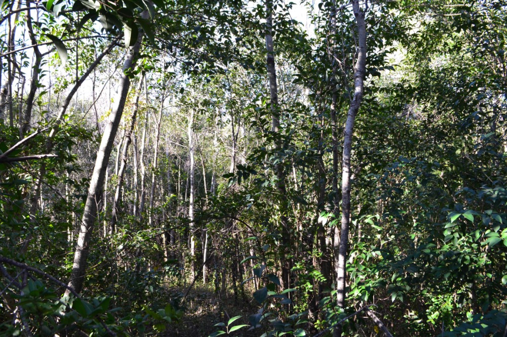 Terreno en Tanti con curso de agua