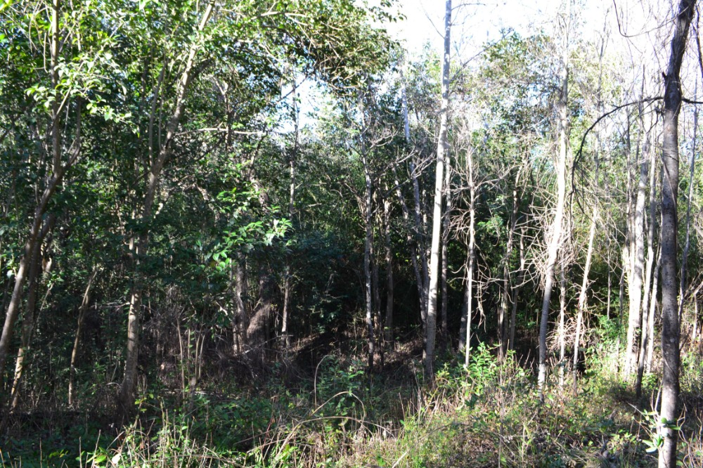 Terreno en Tanti con curso de agua