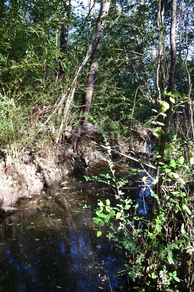 Terreno en Tanti con curso de agua