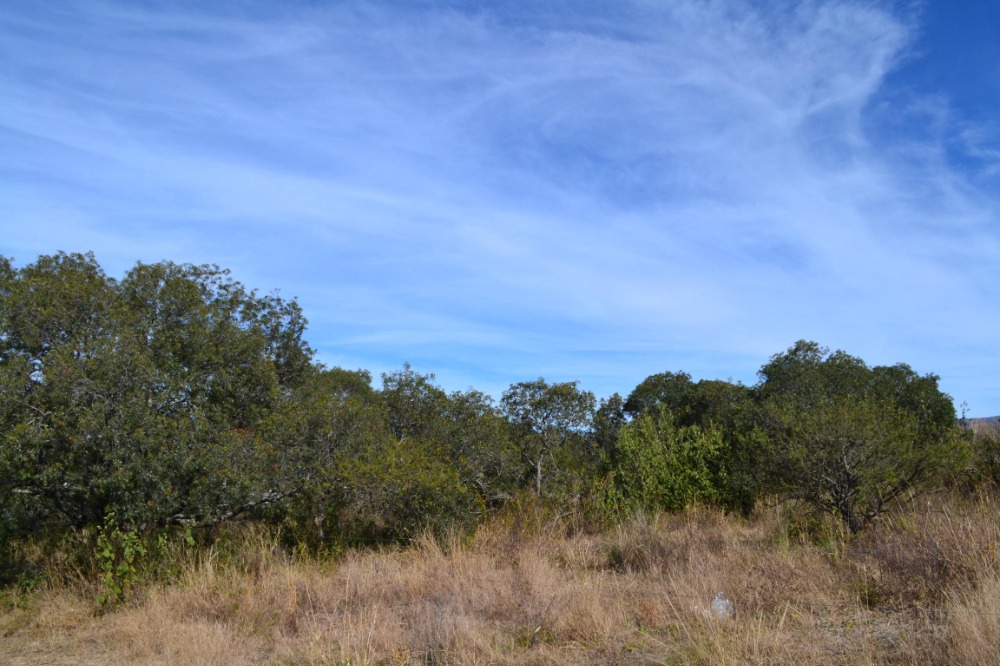 Terrenos en Tanti. 5 lotes juntos