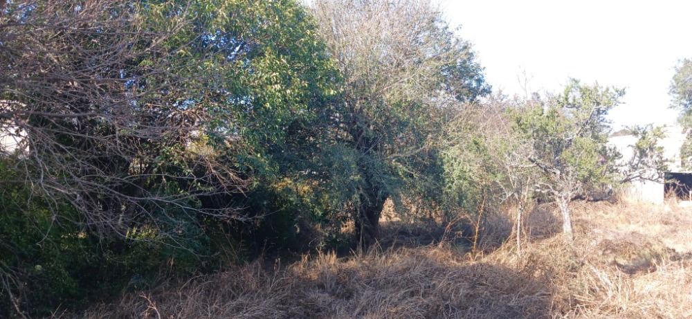 Terreno sobre Ruta 28