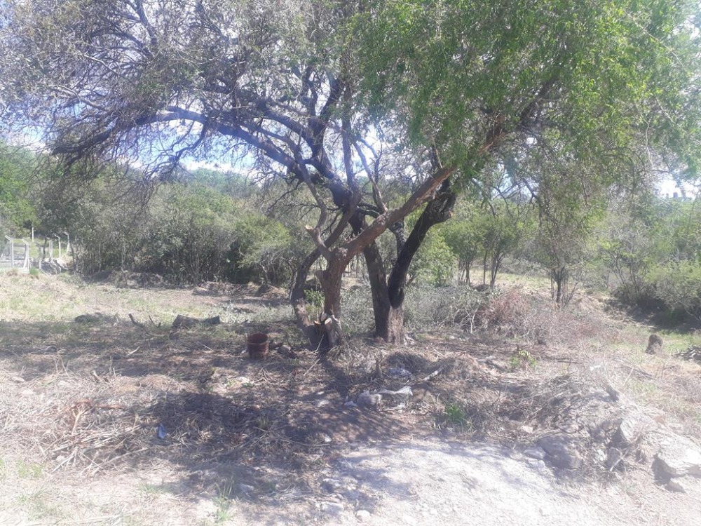 Terreno en Tanti