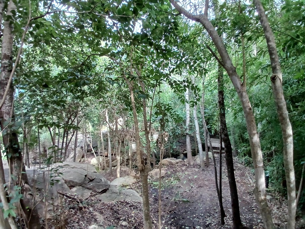 Cabañas en Tanti