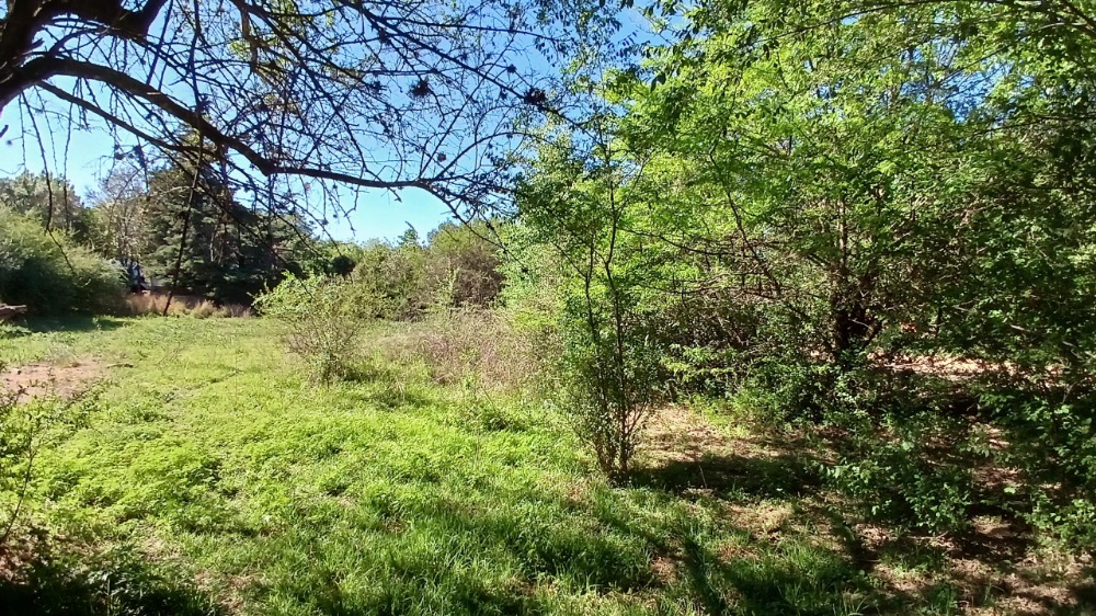 Lote barrio Los Chañares 