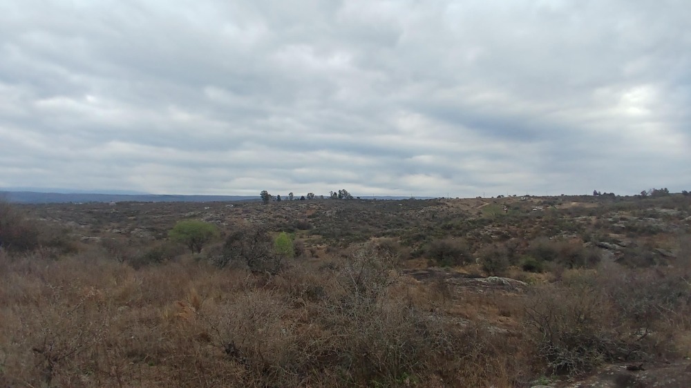 Lote en Estancia Vieja 