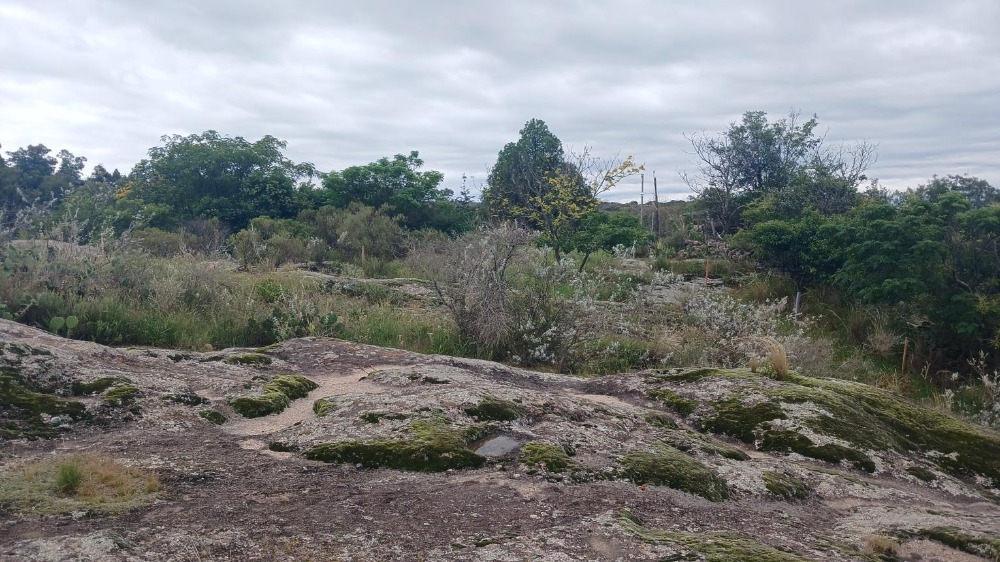 Terreno en Tanti. Barrio El Mirador de Tanti