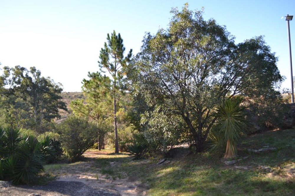 Terreno en barrio Chacras de la Primavera 