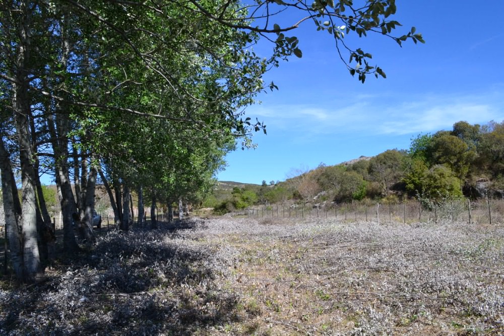 Terreno en Tanti