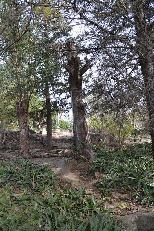 Casa barrio La Cascada. Tanti 