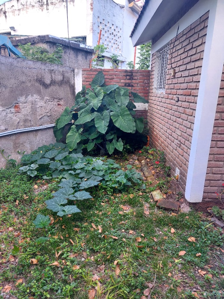 ALQUILER ANUAL SANTA RITA