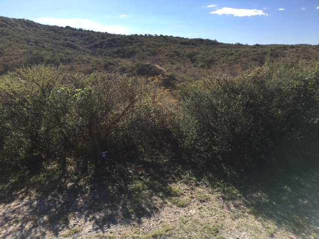 TERRENO CON VISTA A 3 CUADRAS DEL BALNEARIO 1400 mts2