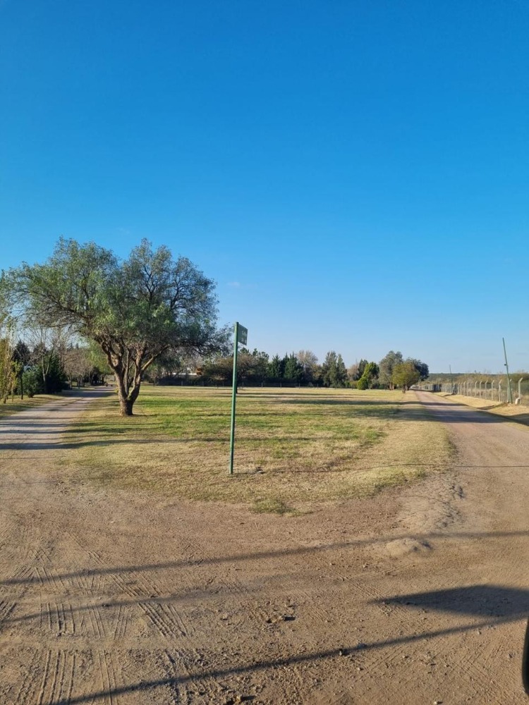 LOTE EN VENTA CAUSANA